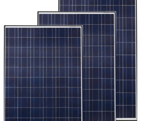 Tấm pin năng lượng mặt trời Poly 50W