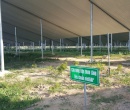 Dự án 2